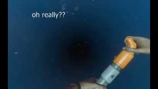 Celebrity Stranded Deep - How to deal with bugs Net Worth
