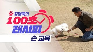강아지 ‘손 교육’ 편｜강형욱의 100초 레시피