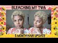 BLEACHING MY TWA!!!! l 5 Months Post Big Chop