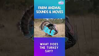 Farm Animal Brain Break: Movement Action Song🤠 Learn Farm Animal Names and Sounds🐷🐴🐑e