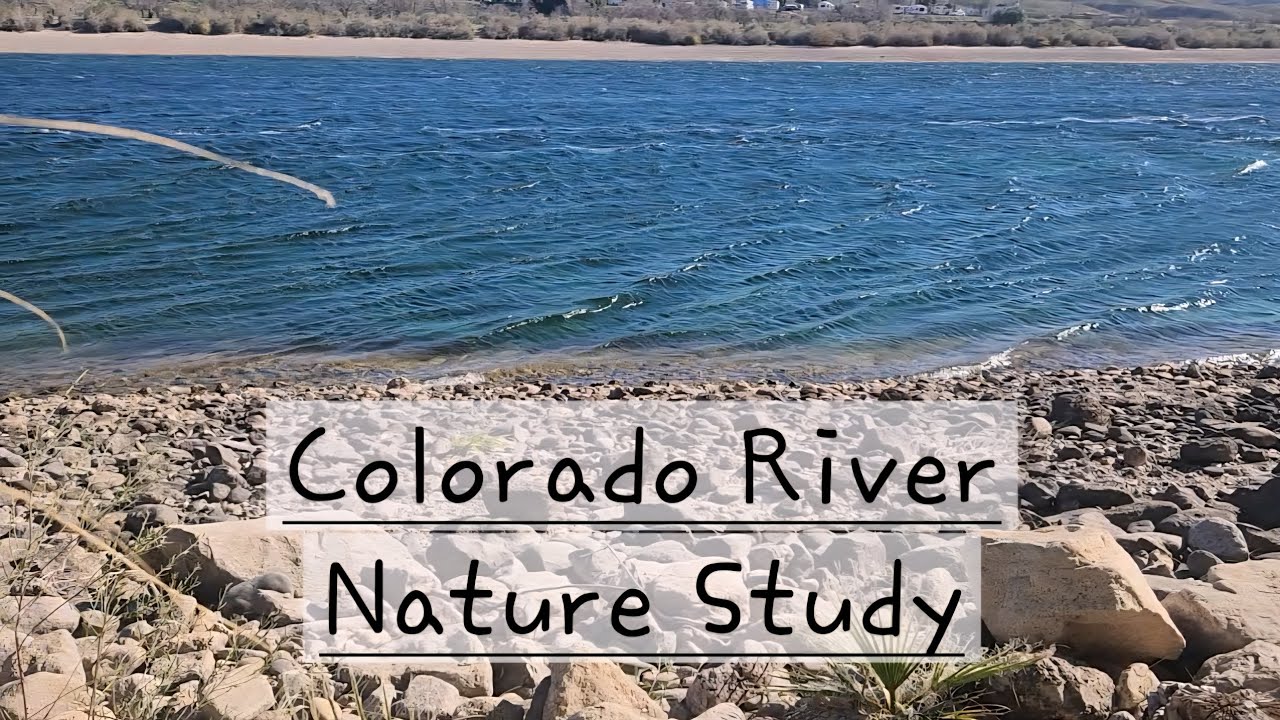 Nature Study: Rivers: Colorado River, Arizona and Nevada: screensaver