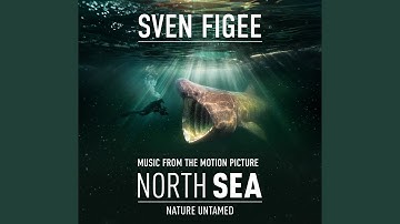 Sigillum Nativitatis