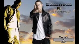 Eminem ft Tuks Senganga - Monate wa Stan live