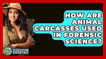 How Are Animal Carcasses Used In Forensic Science? - Ecosystem Essentials