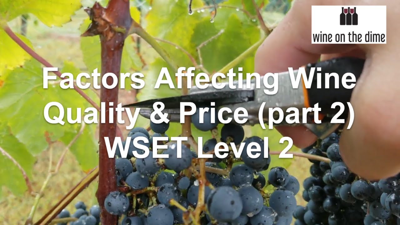 WSET Quiz 4: Factors Affecting Wine Quality and Price (part 2)