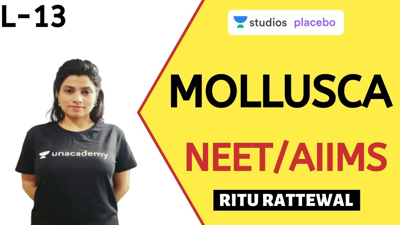 L13 Mollusca Animal Kingdom Pre medical NEET AIIMS Ritu Rattewal YouTube