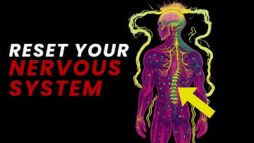 If You Don’t Reset Your Nervous System, You Can’t Manifest Anything