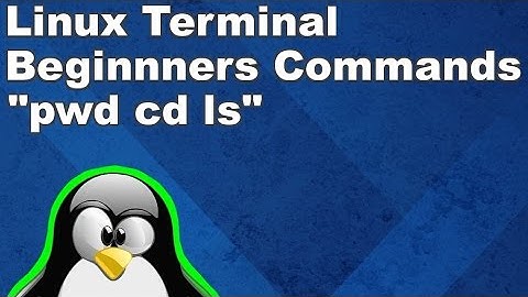 Linux Terminal for Beginners Commands 1: print directory, change directories, and list items