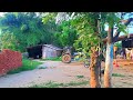 छोटा👌सा पेड़ उखाड़🤣 ने के लिए TRACTOR 🚜 ले आया __  #bulldozerofficial #automobile 