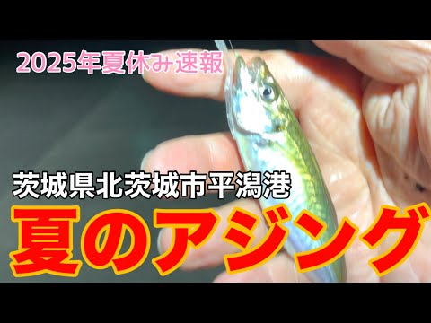 【2025年夏休み速報】「平潟港で夜のアジング」茨城県北茨城市