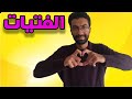 ريد بيل وبلو بيل وبلاك بيل
