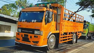 Spotting Truck di Jalan Raya Sukabumi Cianjur Ketemu Truk Seleb Tiktok 'Bunda Kece' #worldtruckid