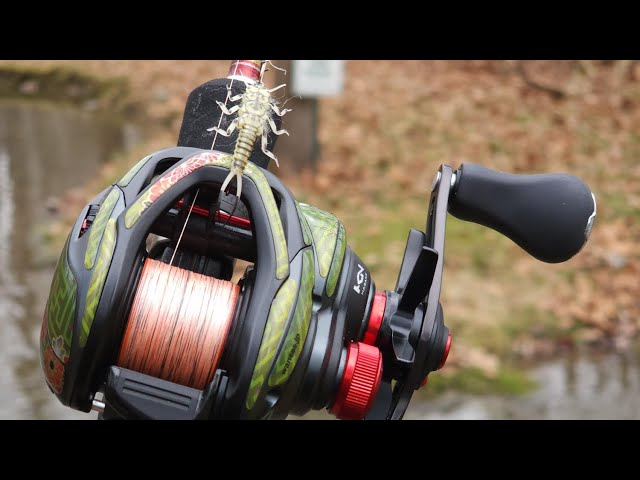 Trout fishing testing the Shimano Slx bfs xg with fly lures 