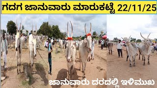 ಗದಗ ಜಾನುವಾರು ಮಾರುಕಟ್ಟೆ|| ಜಾನುವಾರು ಮಾರುಕಟ್ಟೆಯಲ್ಲಿ ದರ ಇಳಿ ಮುಖದತ್ತ||22/11/25