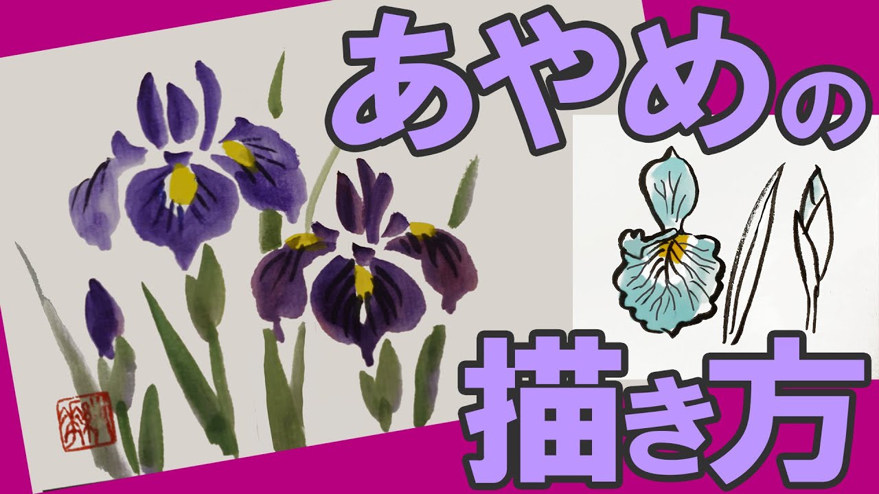 かわいい和風イラスト 簡単 あやめ の描き方 春の絵手紙 花の描き方解説 5月5日 子供の日 ハガキ絵 墨絵 一筆画 初心者 4月 5月 6月 Youtube