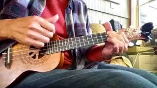 Video thumbnail of "While My Guitar Gently Weeps - George Harrison's Solo Version Played On Ukulele"