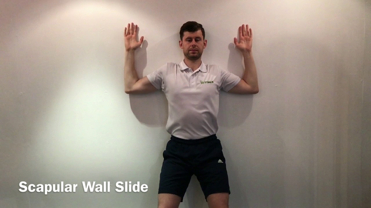 Movement & Mobility - Scapular Wall Slide 