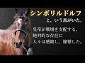 【皇帝と呼ばれた馬】シンボリルドルフ🏇