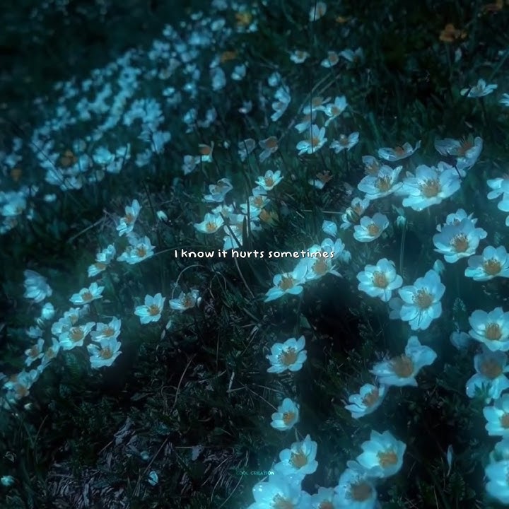 Oh Wonder - Landslide (Lyrics) | I know it hurts sometimes but | Aesthetic #song #lyrics #music