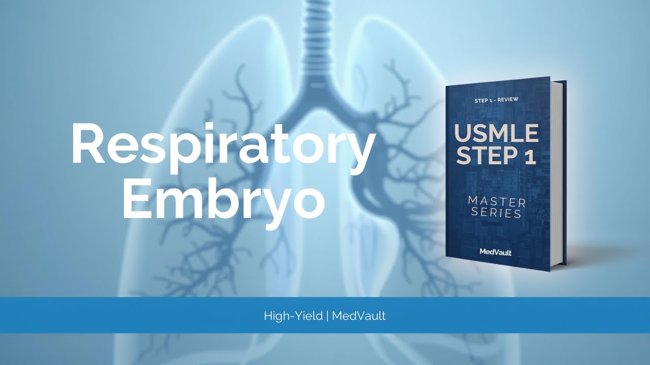 Respiratory Embryology Made Simple (Part 1) | Lung Development ...