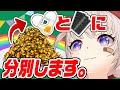 【実写配信】のりたまの「のり」と「たま」を分ける