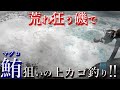 上カゴ釣りでマグロを狙う‼しかしウネリが半端無いんですけどぉぉぉぉ～‼