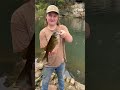 just catching small mouth bass In a small spill way