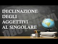 №25_#Declinazione degli #aggettivi #russi al singolare. Parte 1.