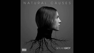 Watch Skylar Grey We Used To Be Bad video