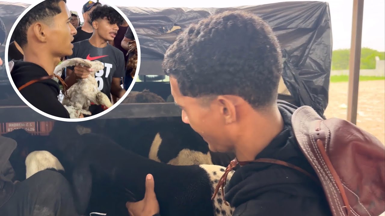 BRUTINHO COMPRA CARRADA DE BICHOS NA FEIRA