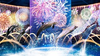 Dolphin Night Show At Maxell Aqua Park Shinagawa. Digital Fireworks ver.  【4K】 by Supli Abi 106,259 views 3 years ago 13 minutes, 37 seconds