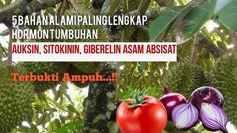 Fungsi hormon auksin dan Asam absisat (ABA secara berurutan terdapat pada nomor)