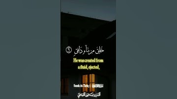 القارئ يحيى بن علي القباطي