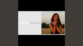 Video thumbnail of "Lagartija - Particelle"