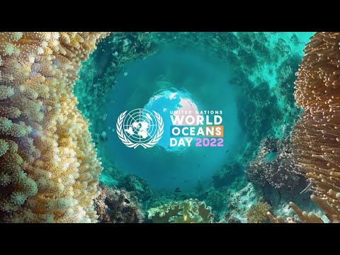 Announcing UN World Oceans Day 2022