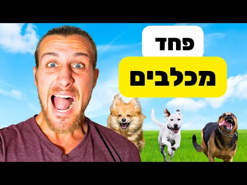 וִידֵאוֹ: כיצד לחתוך כנפי תוכי: 15 שלבים (עם תמונות)