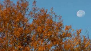 Rest In Me - A Song of Hope & Encouragement by Todd Vaters