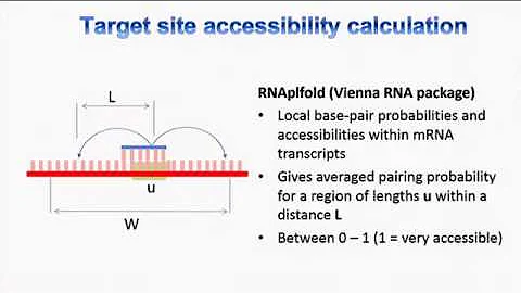 Stefanie Lck - RISCy Business: Development of a RN...