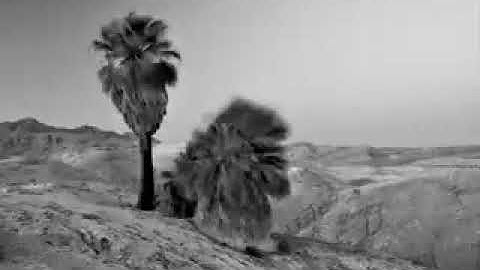 سورة غافر بصوت الشيخ أحمد عبيد