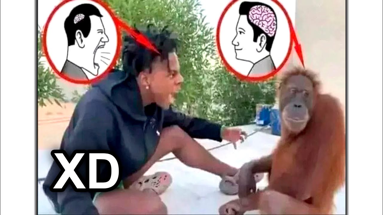 1 HORA DE MOMENTOS XD #146