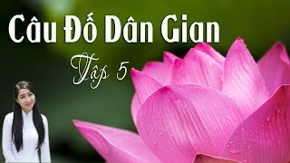 66 CÂU ĐỐ DÂN GIAN HAY NHẤT [Tập 5] Giải câu đố dân gian thư giãn thêm kiến thức | Văn Học Dân Gian