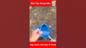 Bột Tẩy Rong Rêu Cực Sạch Chỉ Sau 5 Phút #6 Hotline 0925302677