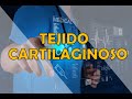 TEJIDO CARTILAGINOSO