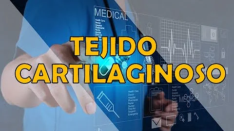 ¿Dónde se encuentran los tejidos cartilaginosos?