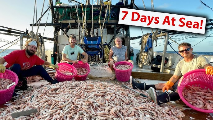 BIG SHRIMPIN* South Carolina Style! Shrimp Catch Clean Cook 