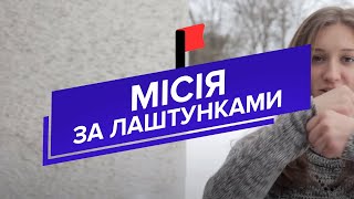 Місія 