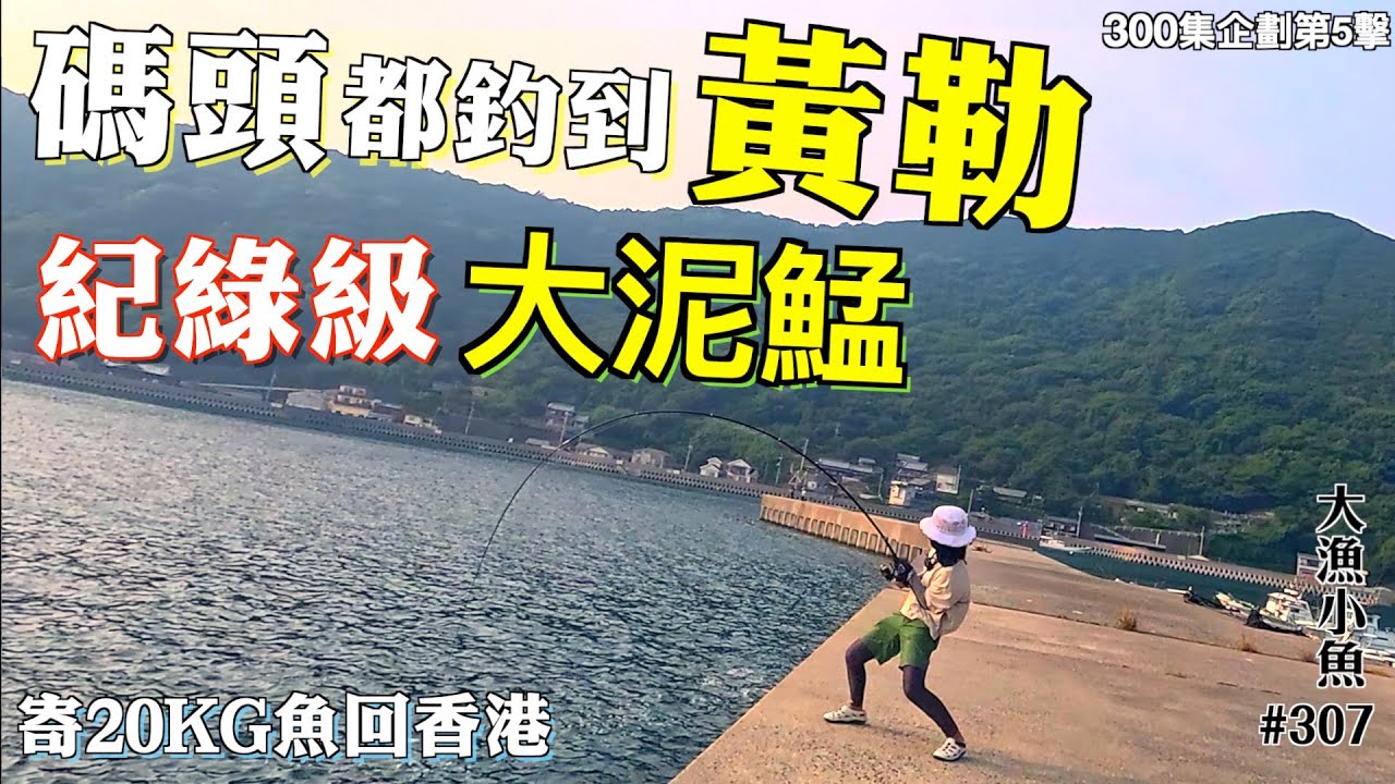 碼頭都有黃勒 ✚ 紀綠級泥鯭 x 2┃岸釣都有咁好收穫┃寄20KG魚回香港┃300集企劃第5擊┃大漁小魚#307 ┃ 中文字幕