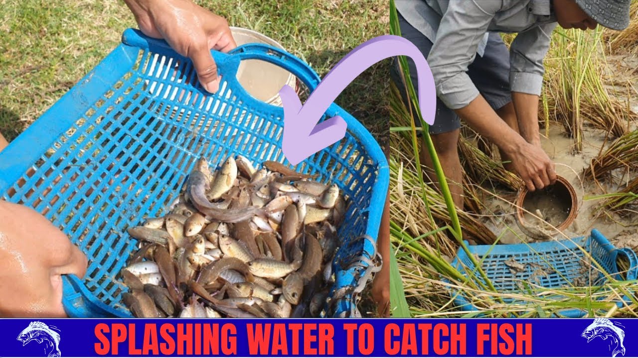 Splashing water to catch fish 🌿 Experience the simple rural lifestyle