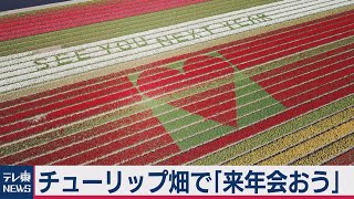 チューリップ畑で「来年会おう」