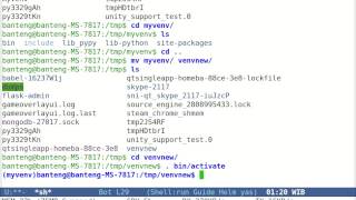 Celebrity Python Tips - Renaming Virtual Environment Wealth